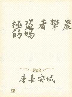 极盗者攀岩是真的吗