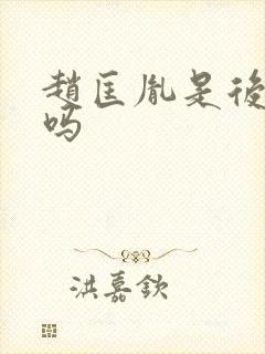 赵匡胤是后晋的吗