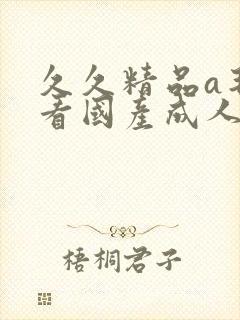 久久精品a毛片看国产成人