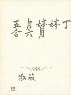 五月婷婷丁香综合六月