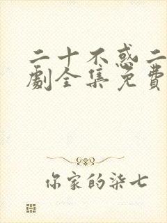 二十不惑二电视剧全集免费观看完整版