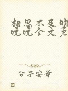 相思不及明月谢晚晚全文免费阅读