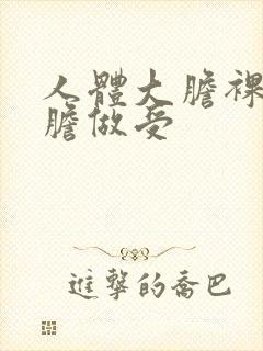 人体大胆裸体大胆做受