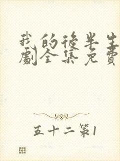 我的后半生电视剧全集免费播放高清张国立