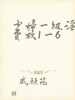 少妇一级淫片免费放1一6