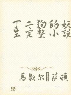 丁二狗的妖孽人生完整小说封面
