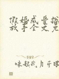 假婚成爱总裁别放手全文免费阅读