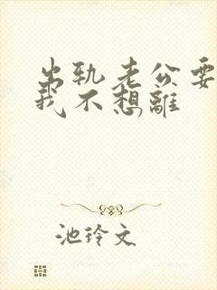 出轨老公要离婚我不想离封面