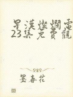 星汉灿烂电视剧23集免费观看封面