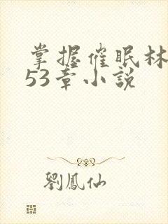 掌握催眠林宵第53章小说