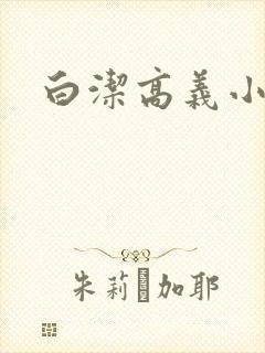 白洁高义小说封面