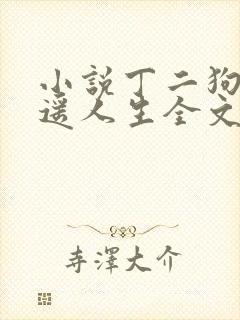 小说丁二狗的逍遥人生全文免费阅读