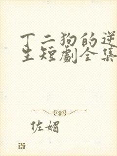 丁二狗的逆袭人生短剧全集免费观看