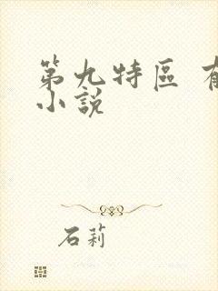 第九特区 有声小说