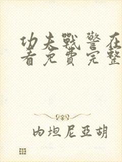 功夫战警在线观看免费完整版