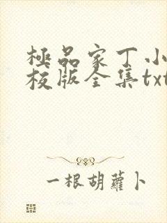 极品家丁小说精校版全集txt