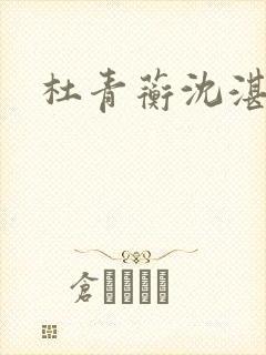 杜青蘅沈湛番外