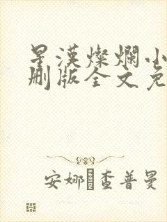 星汉灿烂小说未删版全文免费阅读