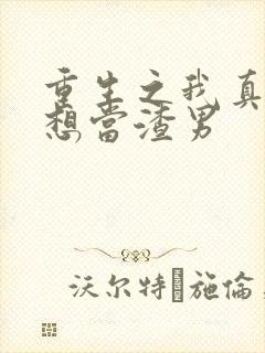 重生之我真的没想当渣男