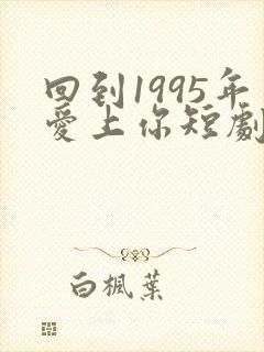 回到1995年爱上你短剧免费观看