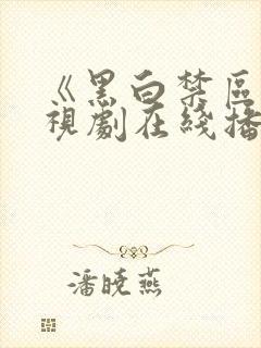 《黑白禁区》电视剧在线播放封面