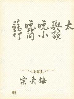 苏晚晚与太子陆行简小说封面