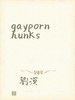 gaypornhunks