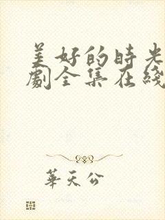 美好的时光电视剧全集在线观看免费封面