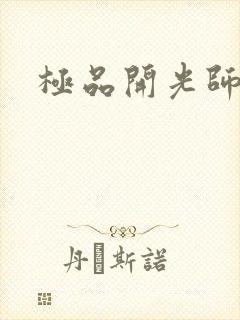 极品开光师