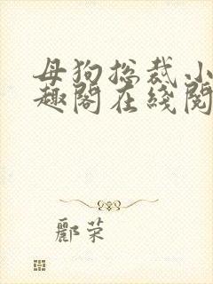 母狗总裁小说笔趣阁在线阅读封面