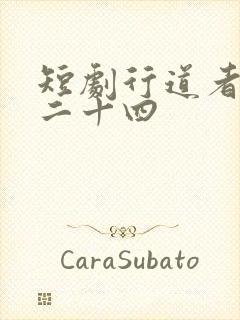 短剧行道者之剑二十四