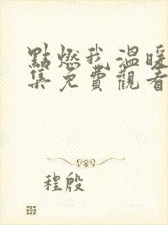 点燃我温暖你全集免费观看高清封面