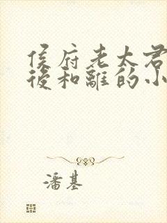 侯府老太君重生后和离的小说