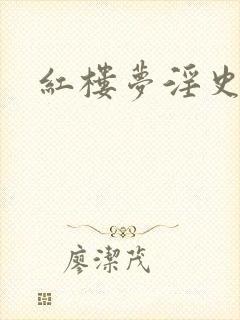 红楼梦淫史片封面