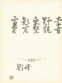 电影东野圭吾免费完整观看