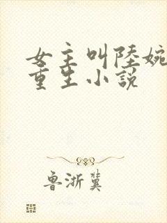 女主叫陆婉婉的重生小说封面