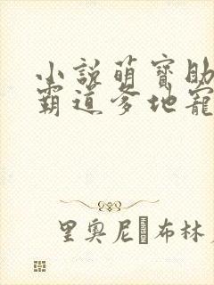 小说萌宝助攻:霸道爹地宠又撩