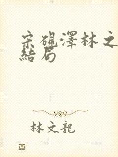 宋砚泽林之意大结局