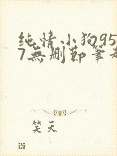 纯情小狗9527无删节笔趣阁