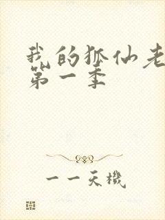 我的狐仙老婆 第一季