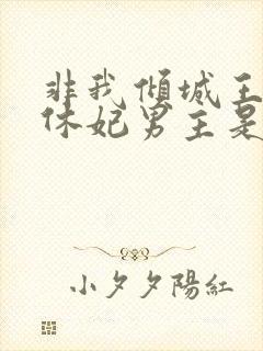 非我倾城王爷要休妃男主是谁