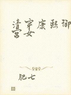 清穿康熙御前大宫女封面