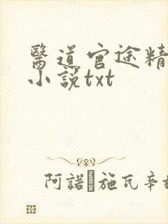 医道官途精校版小说txt