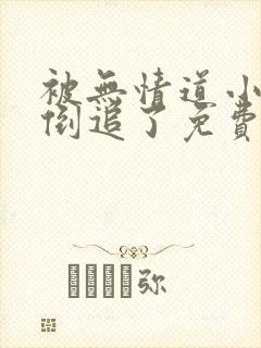 被无情道小师弟倒追了免费阅读