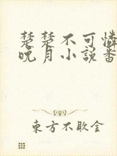 楚楚不可怜by晚月小说番外