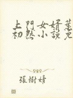 上门女婿叶辰萧初然小说免费阅读完整版