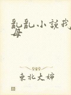 乱乱小说我的岳母