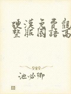 硬汉免费观看完整版国语高清