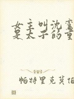 女主叫沈鸾男主是太子的重生小说