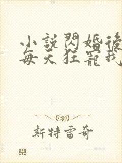 小说闪婚后大叔每天狂宠我全文阅读封面